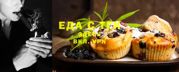индика Елабуга