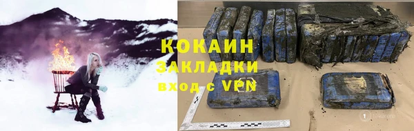 индика Елабуга