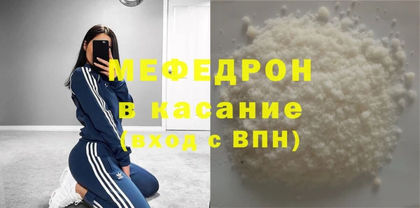 индика Елабуга