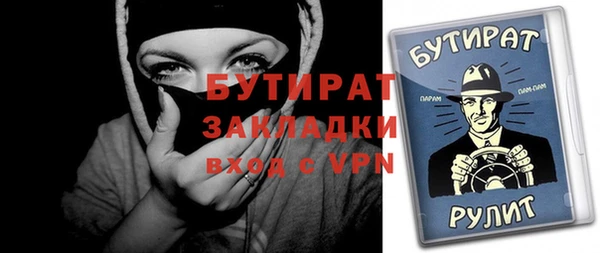 индика Елабуга