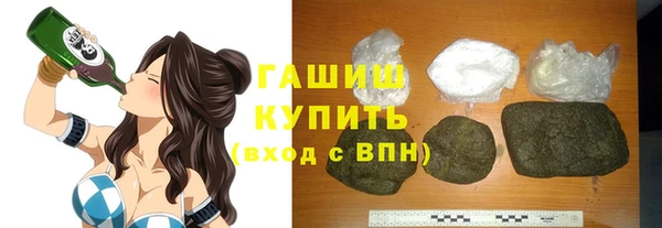 индика Елабуга
