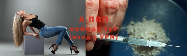 индика Елабуга