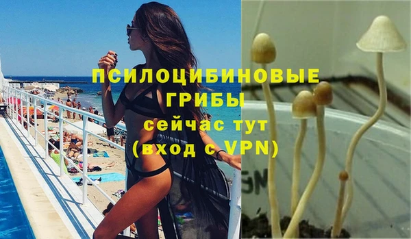 индика Елабуга