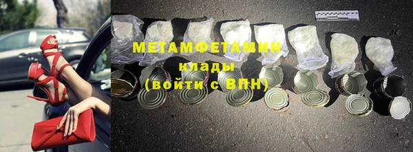 индика Елабуга