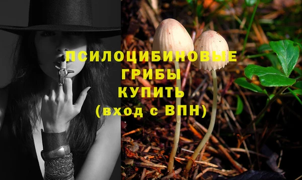 герыч Ельня
