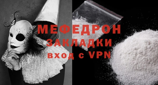 индика Елабуга
