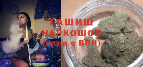 индика Елабуга