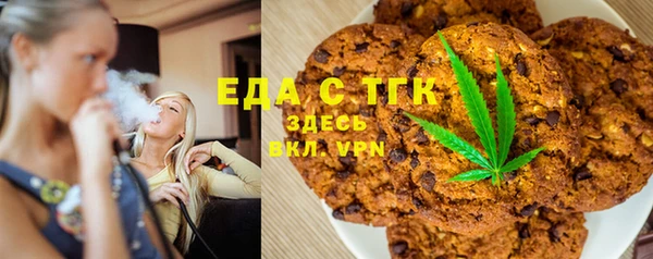 индика Елабуга