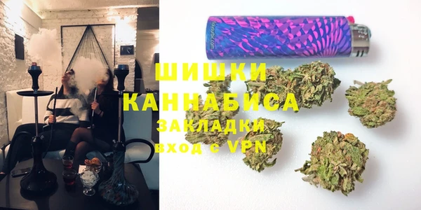индика Елабуга