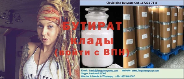 индика Елабуга