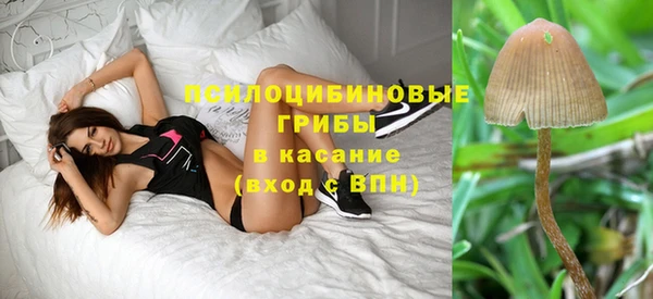 индика Елабуга