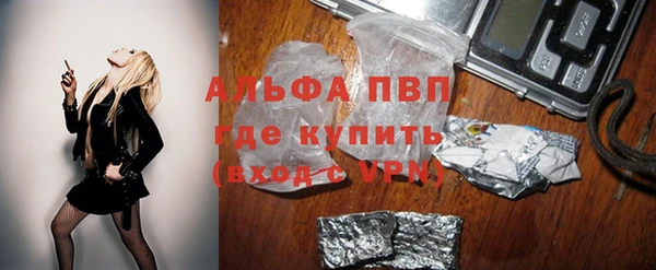 индика Елабуга