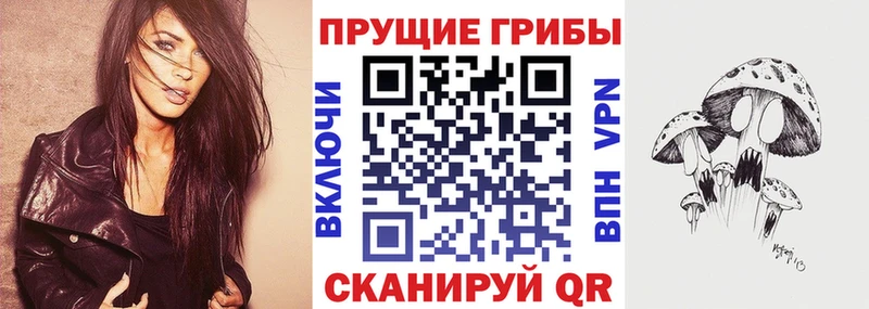 Псилоцибиновые грибы мицелий  где купить наркотик  Пролетарск 